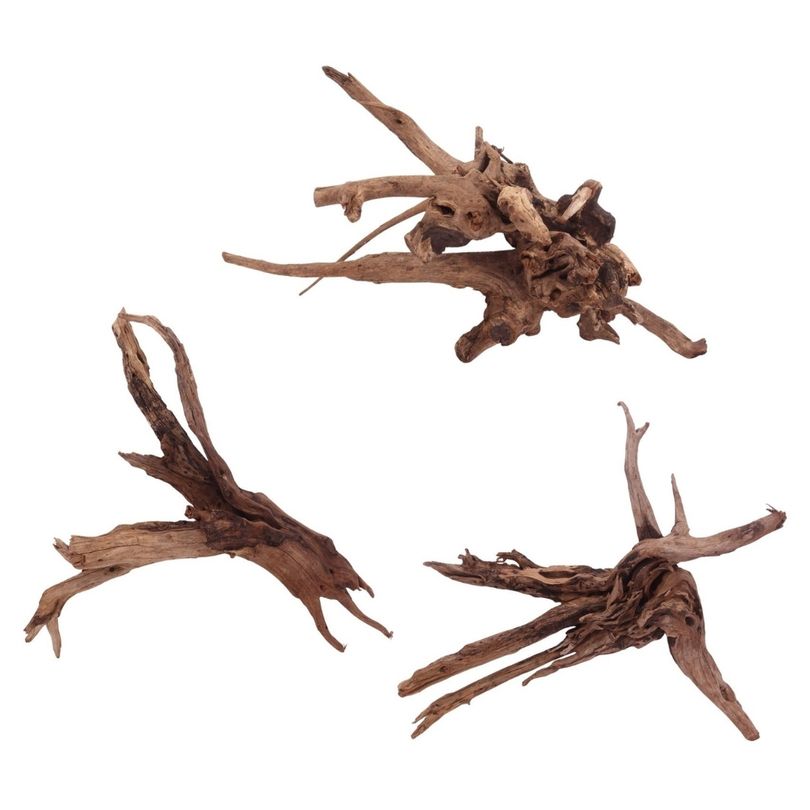 Driftwood Flußwurzel XL 60-70 cm