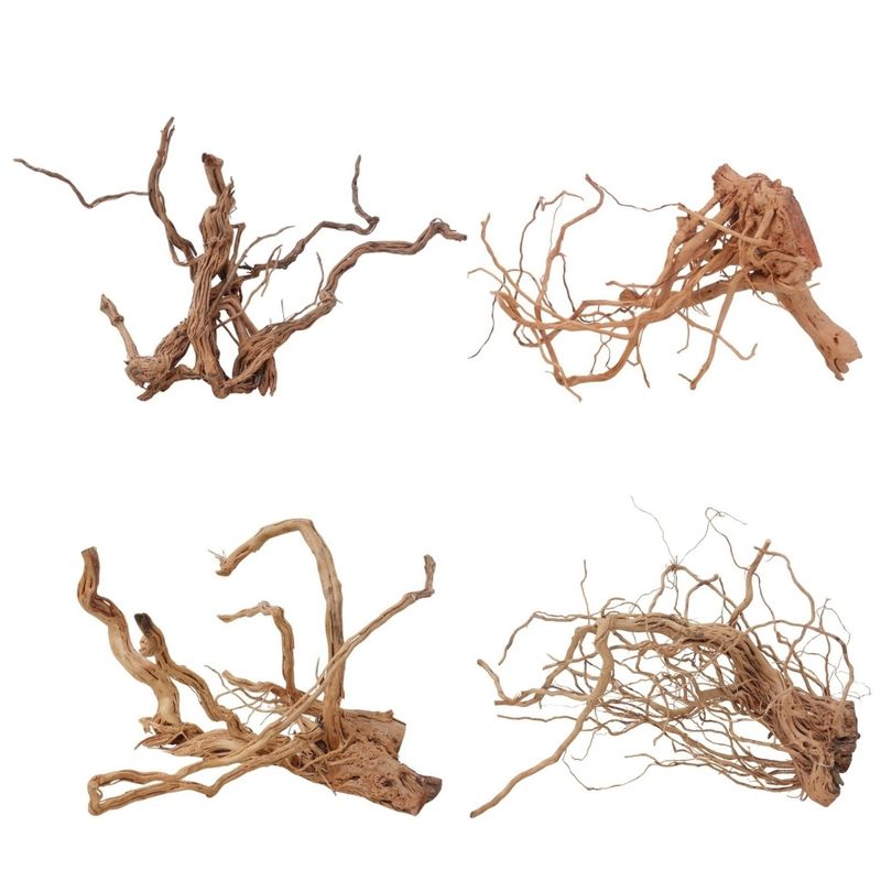 Drachen Wurzel XL 80-110 cm