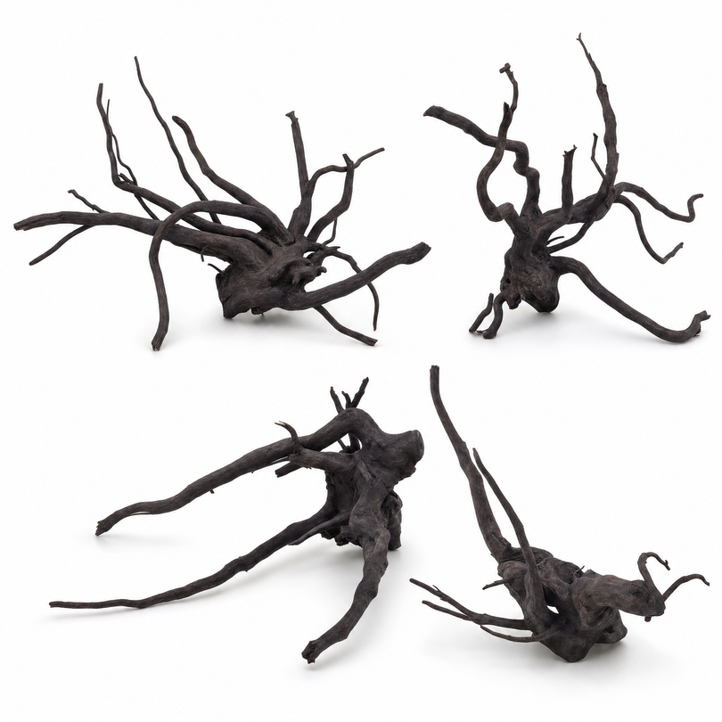 Black Spider Wurzel L 35-50 cm