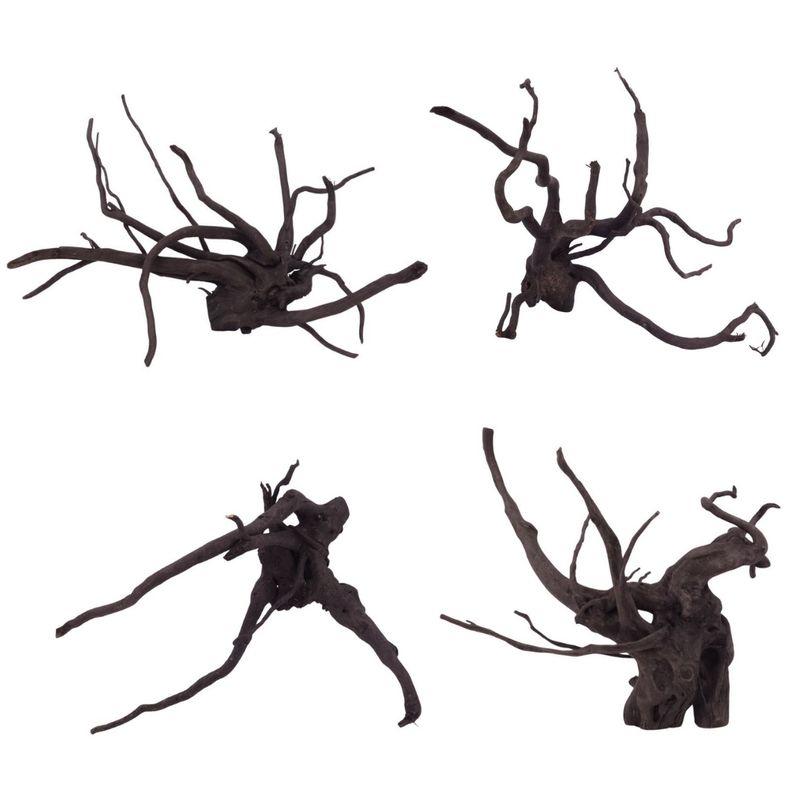 Black Spider Wurzel L 35-50 cm