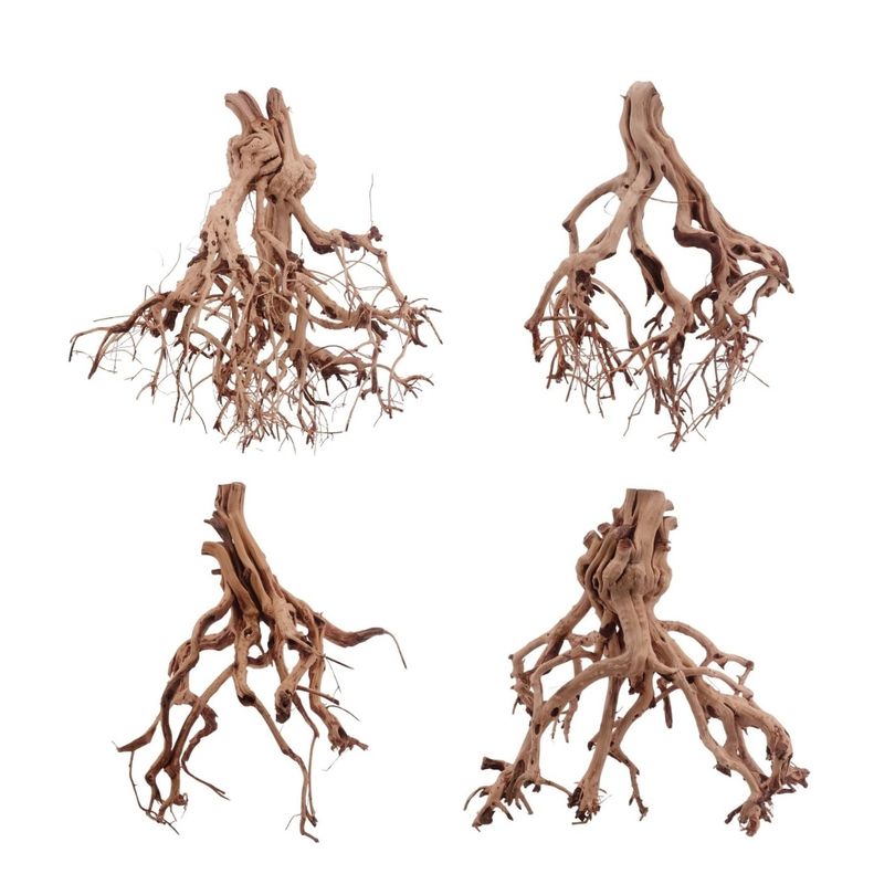 Flower Wurzel L 20-30 cm