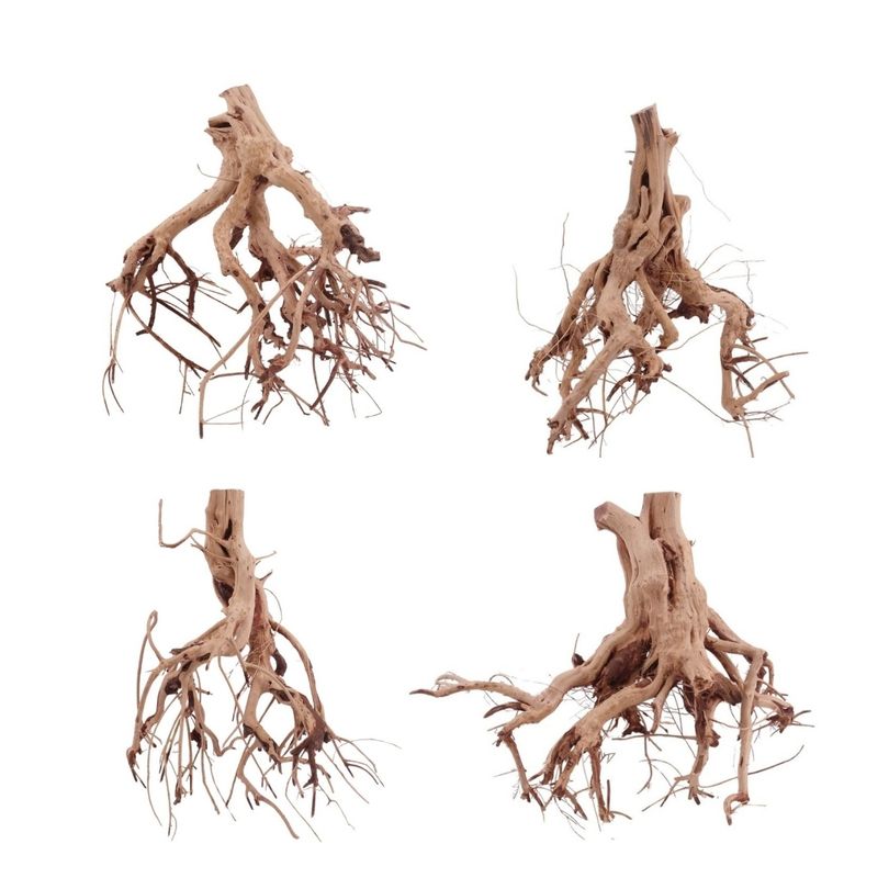 Flower Wurzel M 10-20 cm