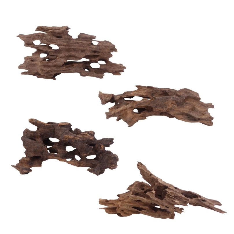 Honey Comb Wurzel M 20-30 cm