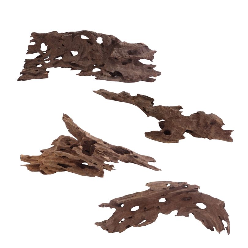 Honey Comb Wurzel L 35-50 cm