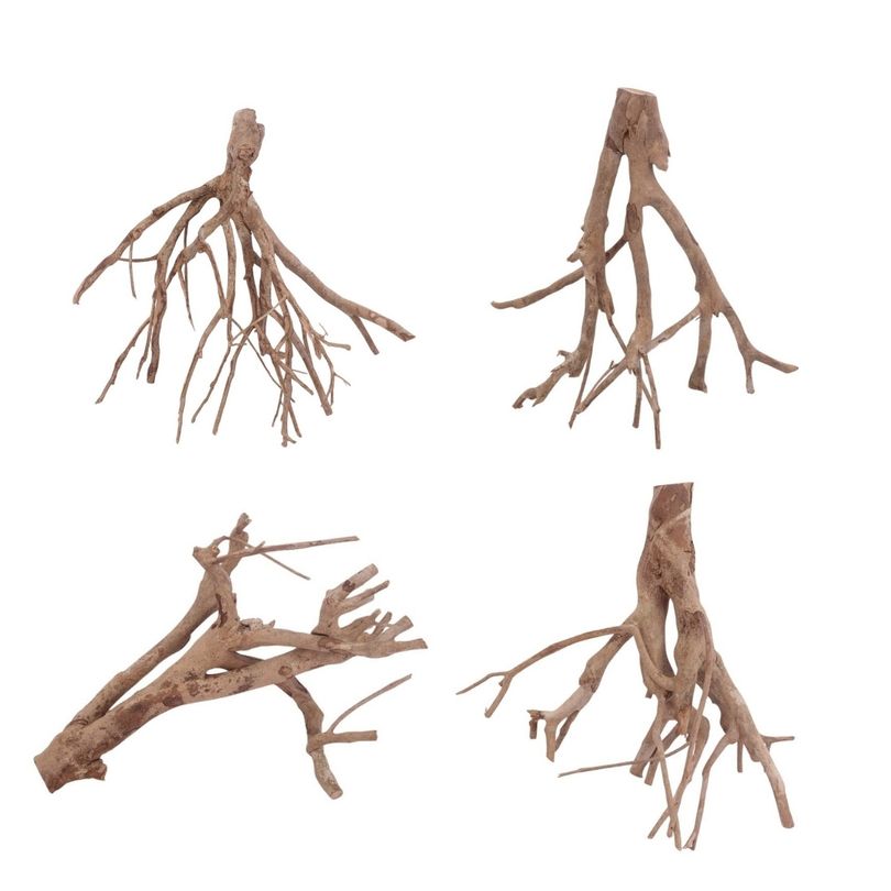 Talawa Wurzel L 35-50 cm