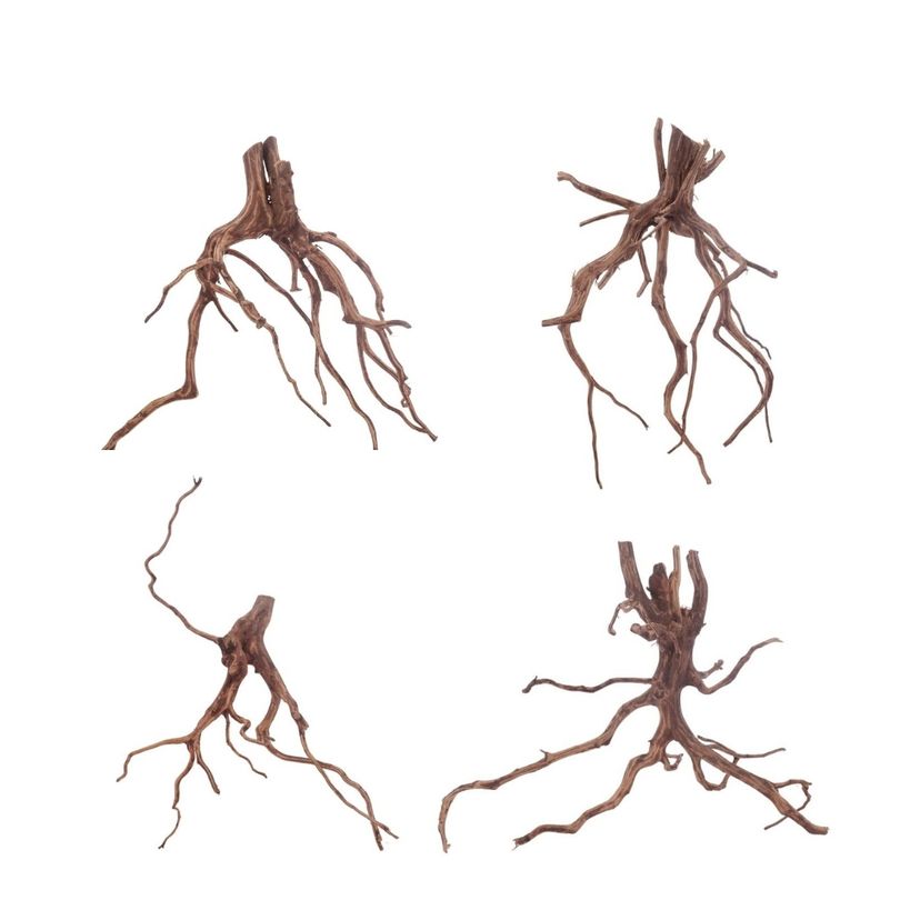 Red Spider Wurzel M 15-20 cm