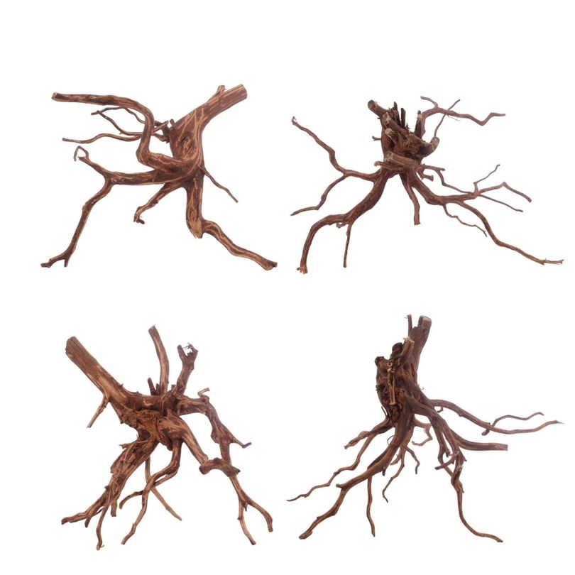 Red Spider Wurzel XL 40-50 cm