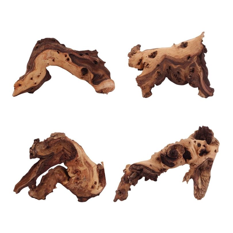 Mopani Wurzel M 15-25 cm