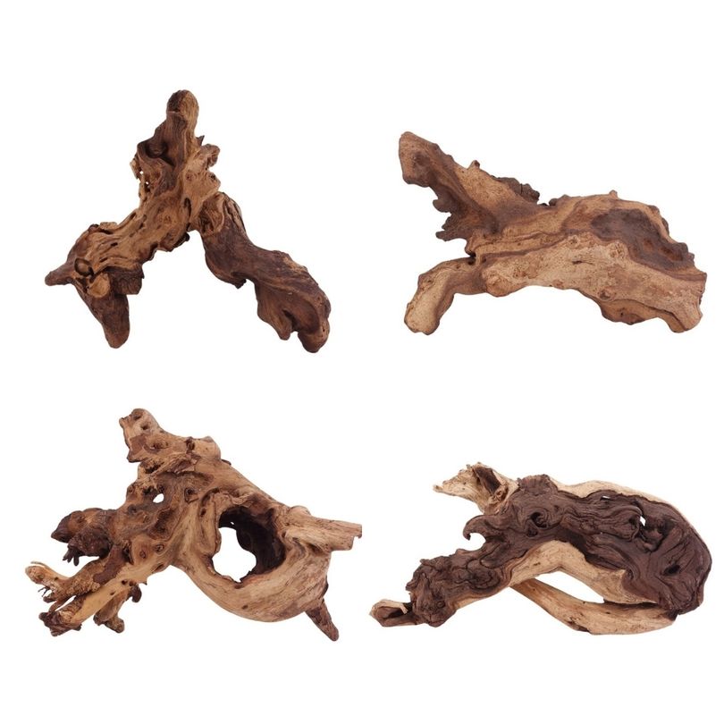 Mopani Wurzel L 25-35 cm