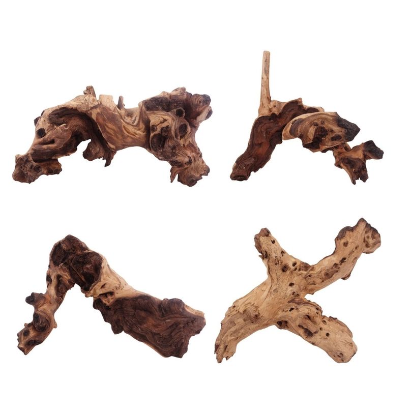 Mopani Wurzel XL 35-50 cm