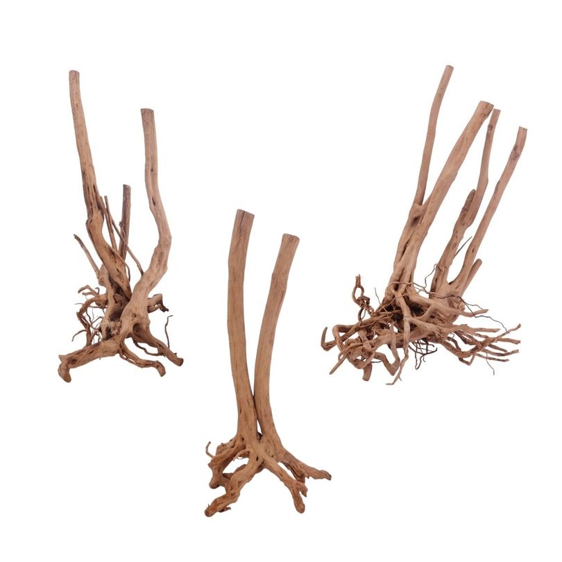 Stump Wurzel L 80-100 cm