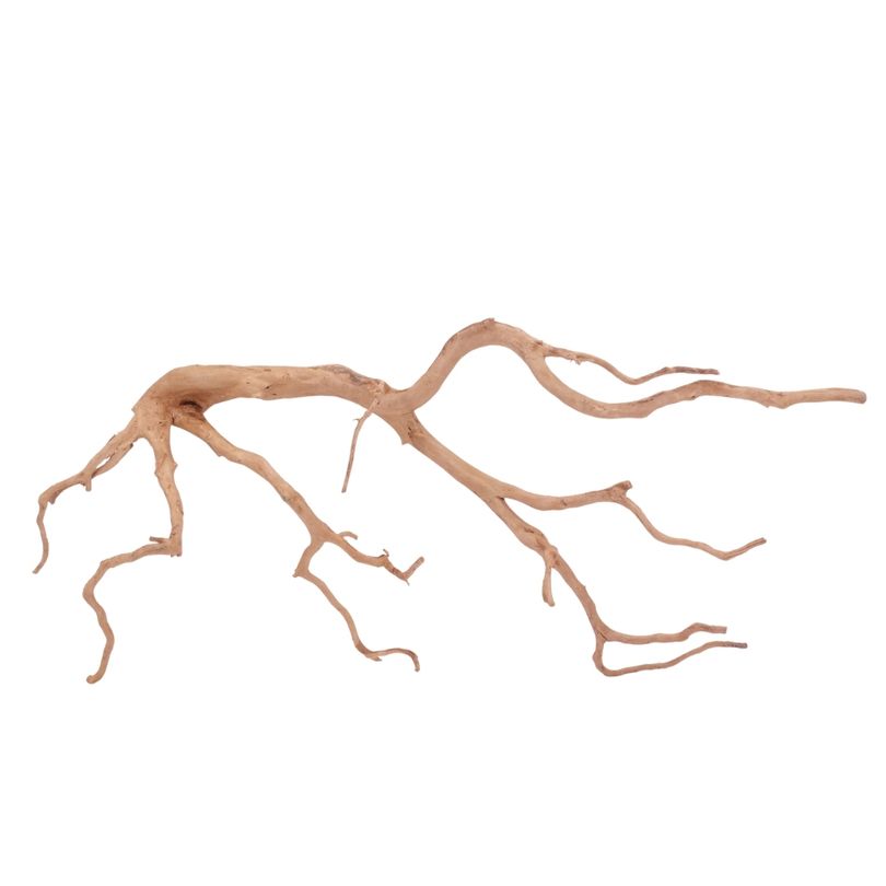 XXL Moorkienwurzel Nr.4295 Holz Deko Aquascaping