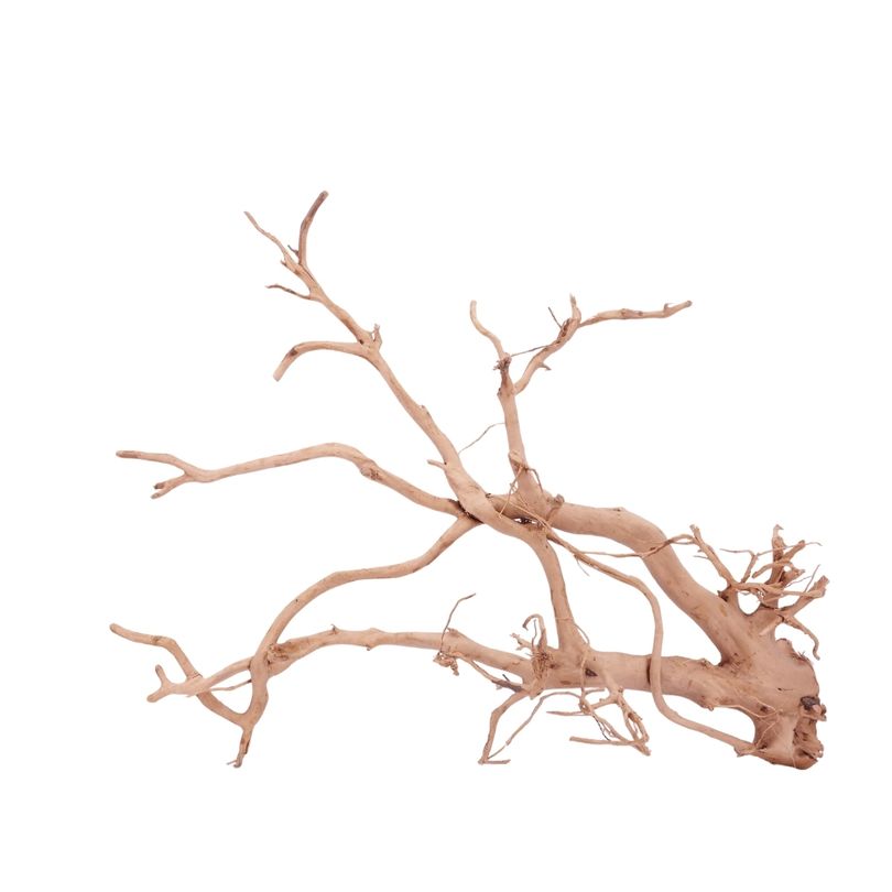 XXL Moorkienwurzel Nr.4304 Holz Deko Aquascaping