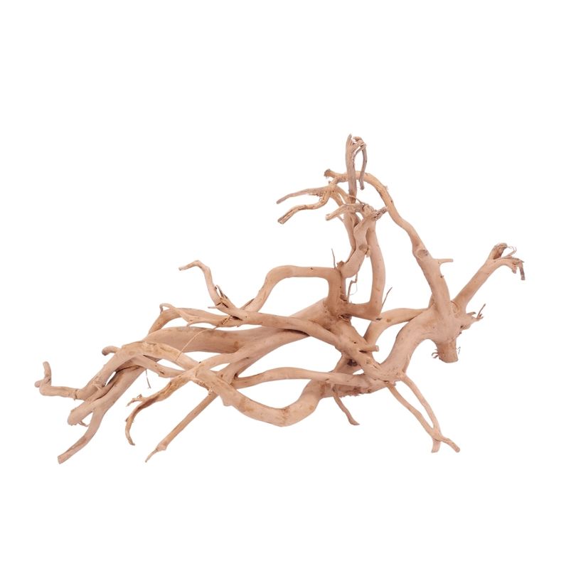 XXL Moorkienwurzel Nr.4308 Holz Deko Aquascaping