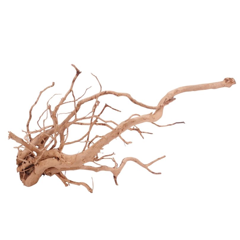 XXL Moorkienwurzel Nr.4309 Holz Deko Aquascaping