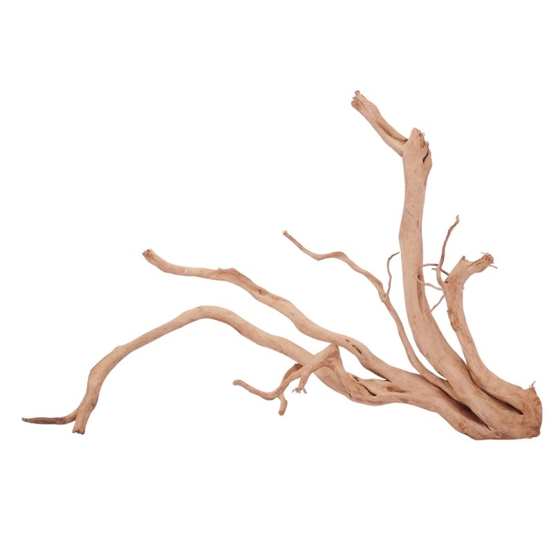 XXL Moorkienwurzel Nr.4312 Holz Deko Aquascaping
