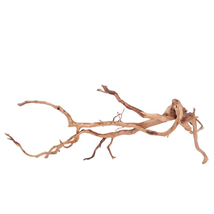XXL Moorkienwurzel Nr.4314 Holz Deko Aquascaping