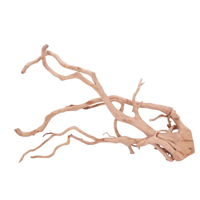 XXL Moorkienwurzel Nr.4315 Holz Deko Aquascaping