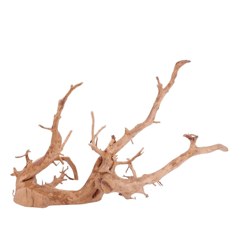 XXL Moorkienwurzel Nr.4318 Holz Deko Aquascaping