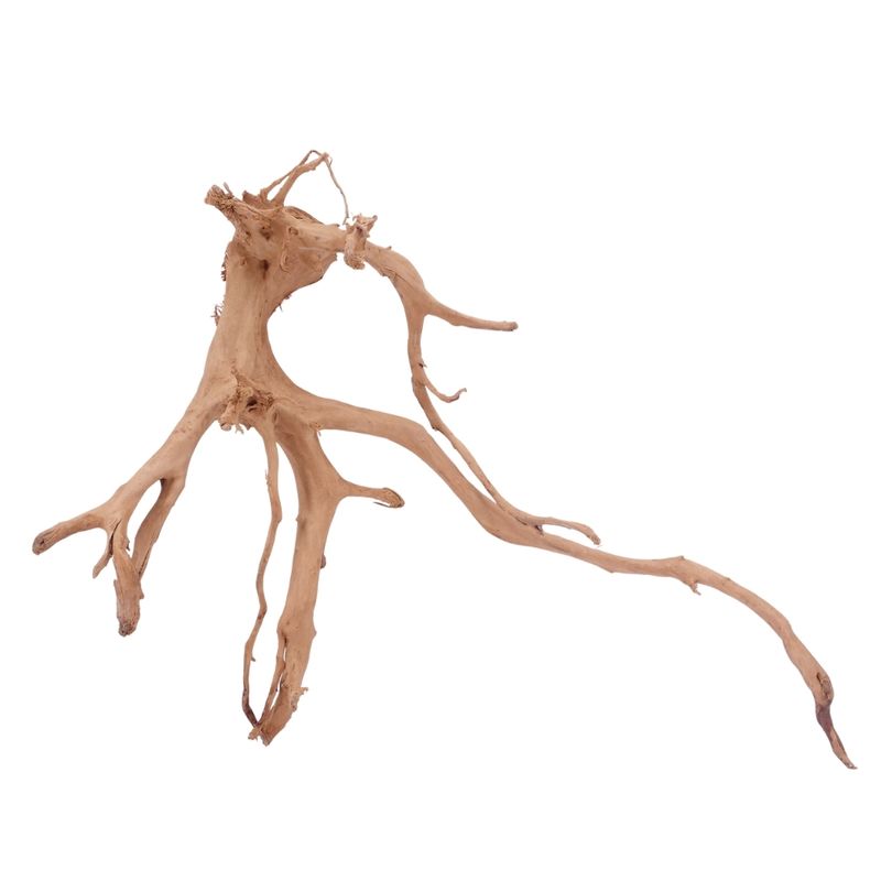 XXL Moorkienwurzel Nr.4324 Holz Deko Aquascaping