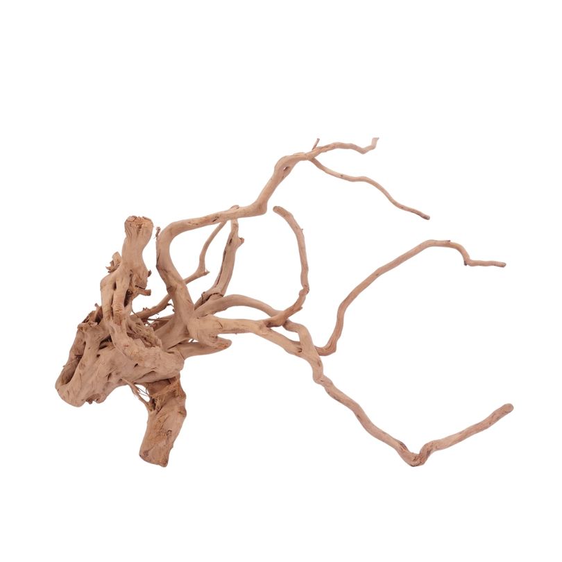 XXL Moorkienwurzel Nr.4328 Holz Deko Aquascaping