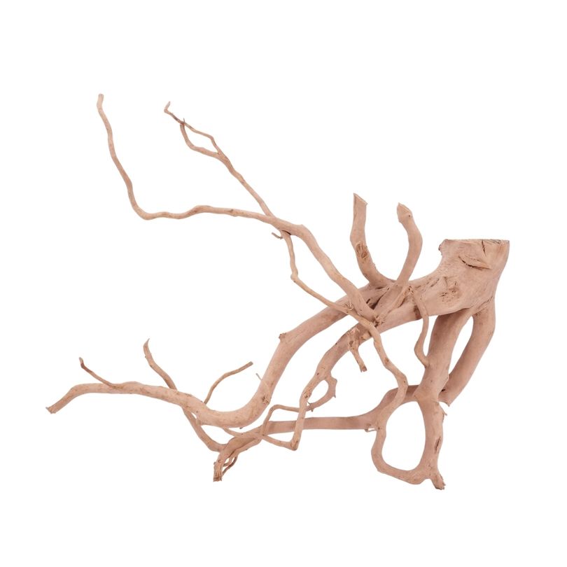 XXL Moorkienwurzel Nr.4329 Holz Deko Aquascaping