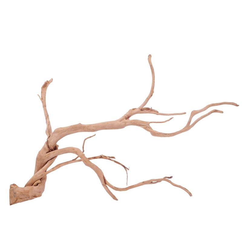 XXL Moorkienwurzel Nr.4336 Holz Deko Aquascaping