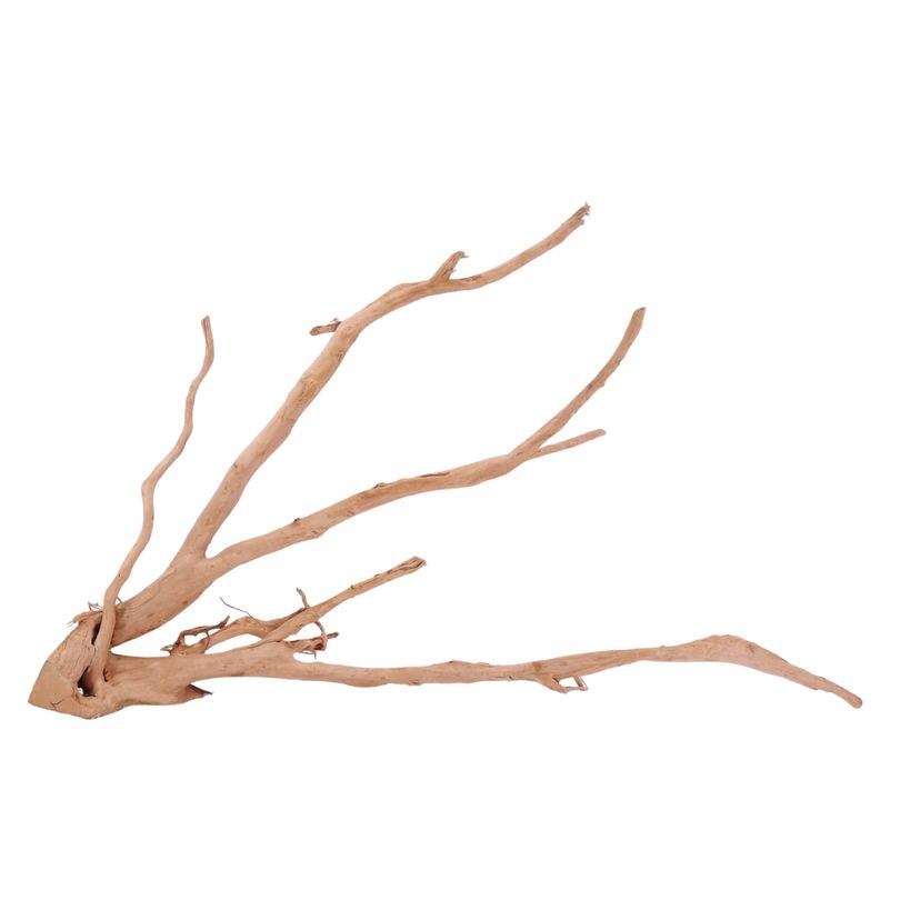 XXL Moorkienwurzel Nr.4337 Holz Deko Aquascaping