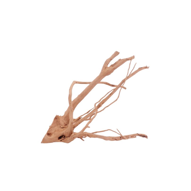 M Moorkienwurzel Nr.4385 Holz Deko Aquascaping