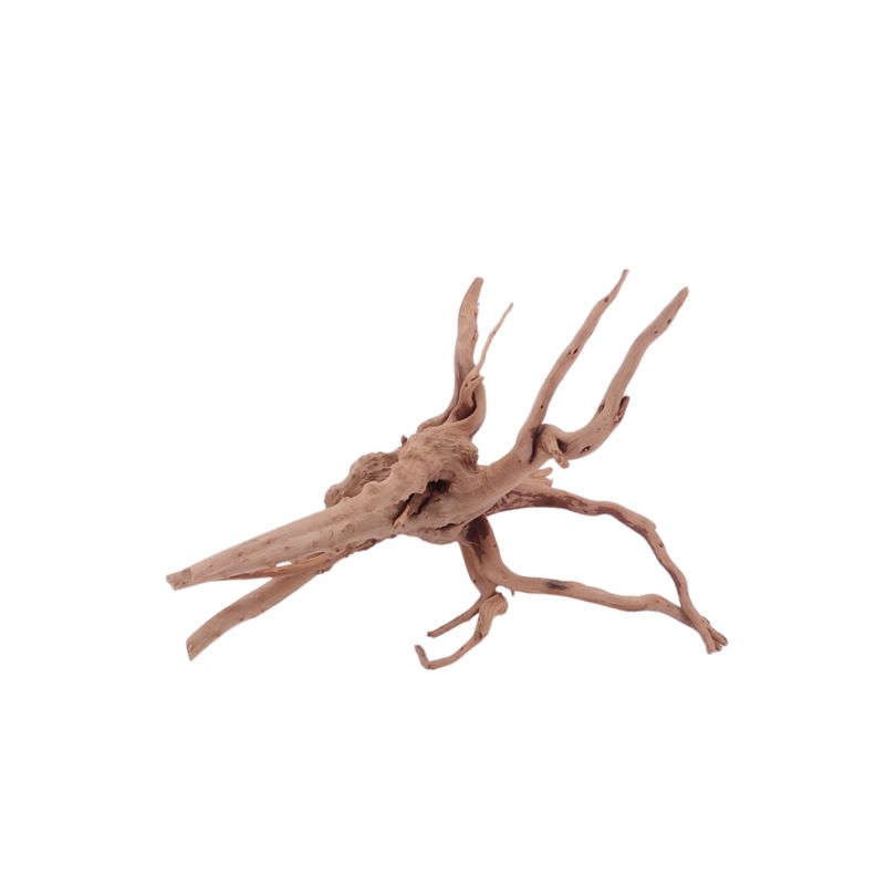 M Moorkienwurzel Nr.4387 Holz Deko Aquascaping