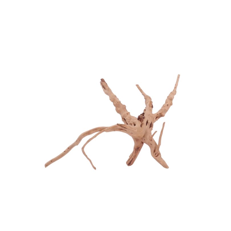 M Moorkienwurzel Nr.4395 Holz Deko Aquascaping