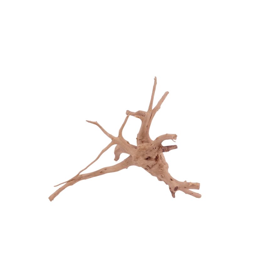  M Moorkienwurzel Nr.4421 Holz Deko Aquascaping