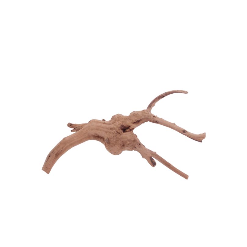 M Moorkienwurzel Nr.4427 Holz Deko Aquascaping