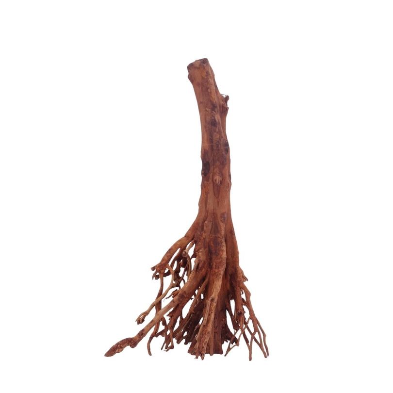 M Jungle Wood Wurzel Nr.4434 Holz Deko Aquascaping