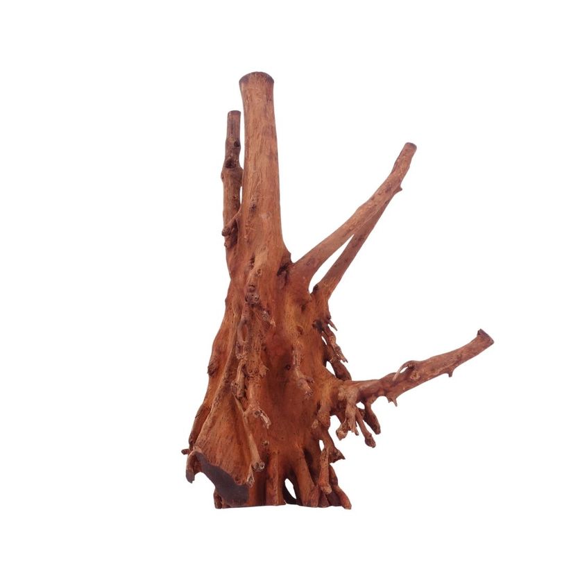 L Jungle Wood Wurzel Nr.4501 Holz Deko Aquascaping
