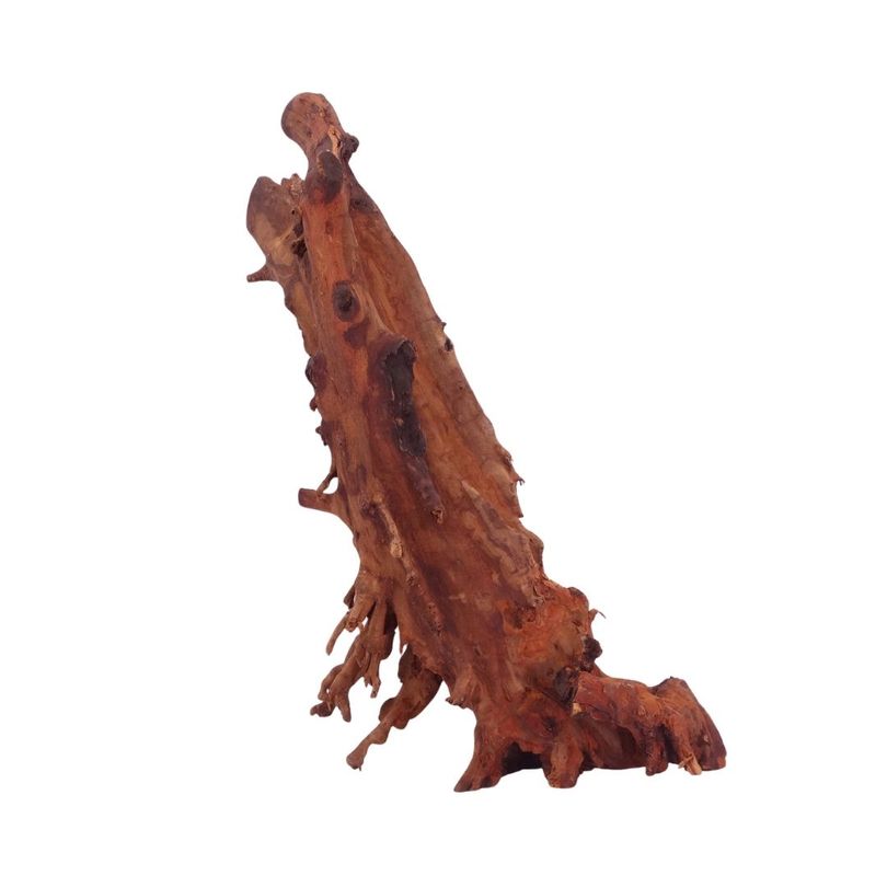 L Jungle Wood Wurzel Nr.4511 Holz Deko Aquascaping