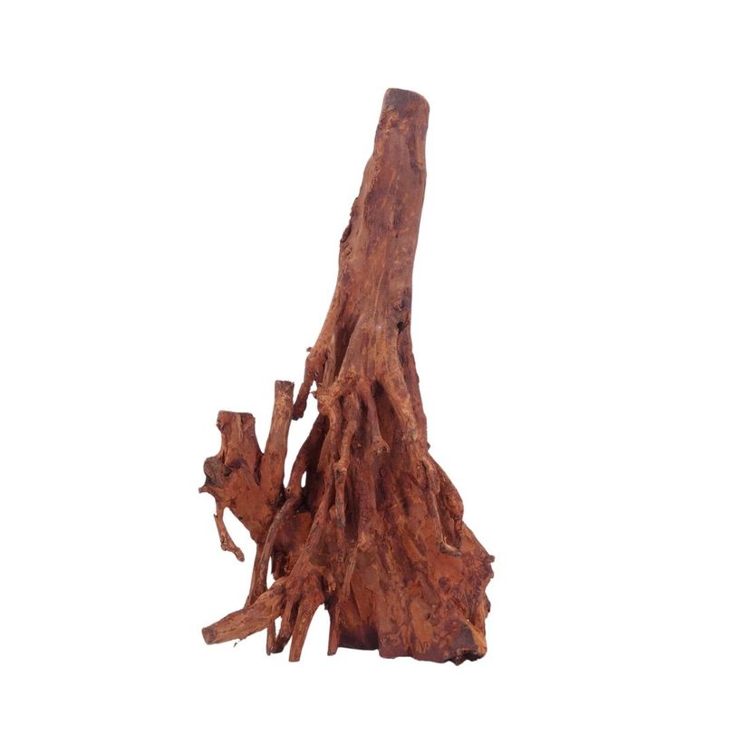 L Jungle Wood Wurzel Nr.4516 Holz Deko Aquascaping