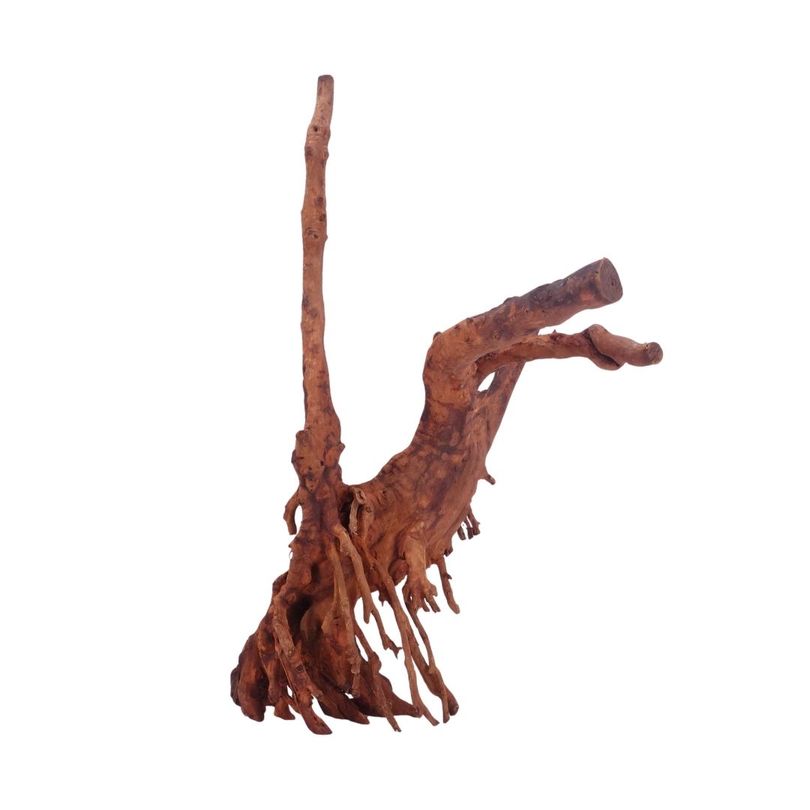 L Jungle Wood Wurzel Nr.4517 Holz Deko Aquascaping