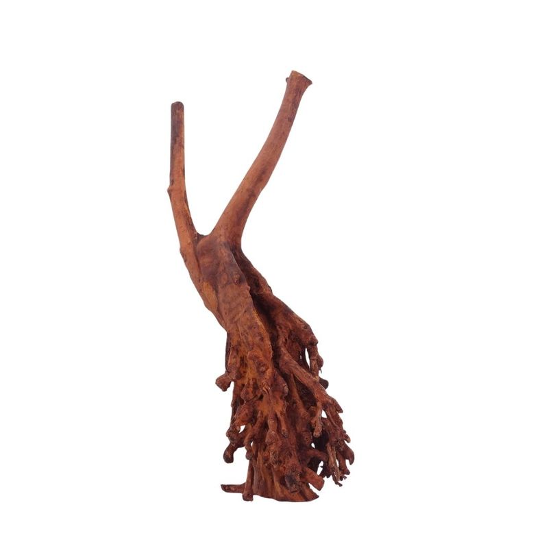 M Jungle Wood Wurzel Nr.4444 Holz Deko Aquascaping