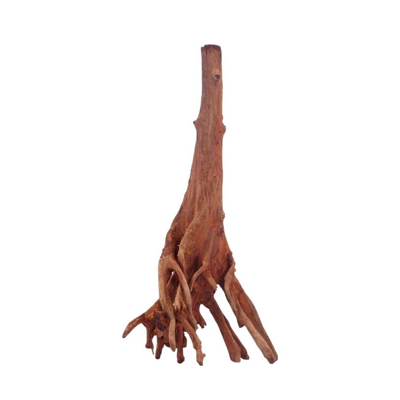 M Jungle Wood Wurzel Nr.4454 Holz Deko Aquascaping