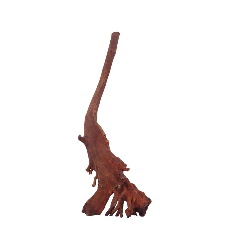 M Jungle Wood Wurzel Nr.4469 Holz Deko Aquascaping