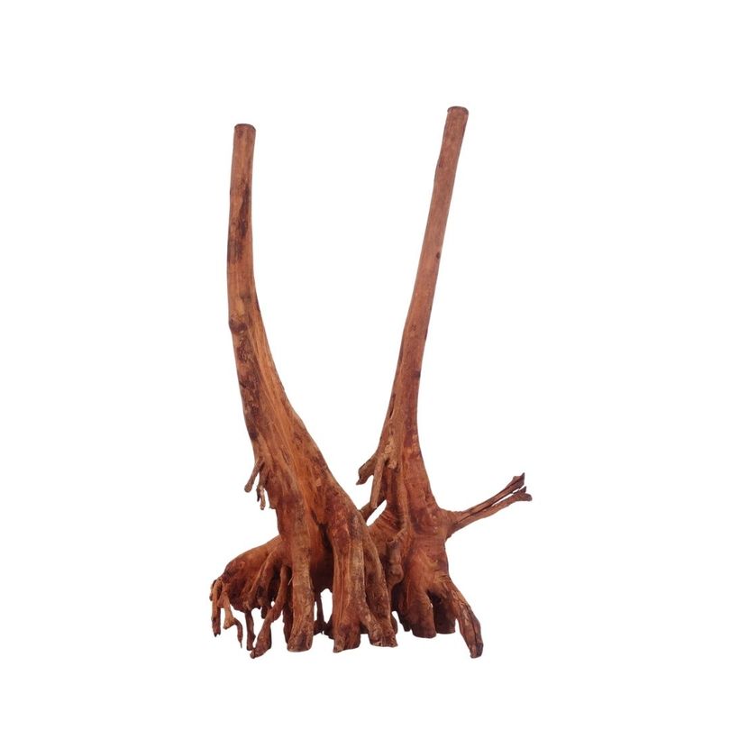 M Jungle Wood Wurzel Nr.4473 Holz Deko Aquascaping