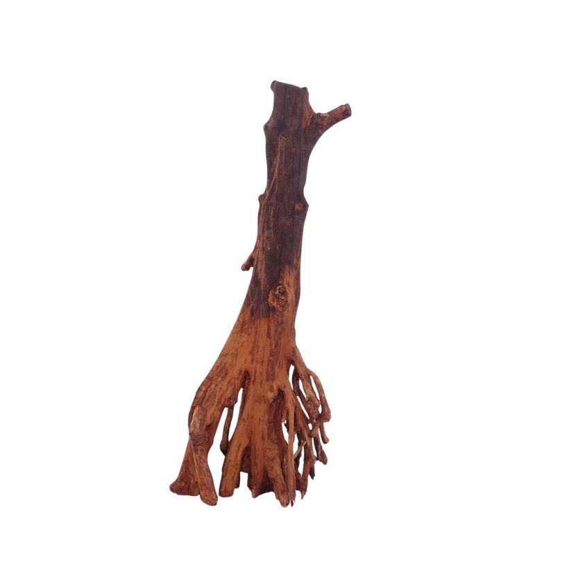 M Jungle Wood Wurzel Nr.4485 Holz Deko Aquascaping