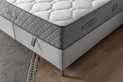 ruf-204.jpg ruf-204.jpg