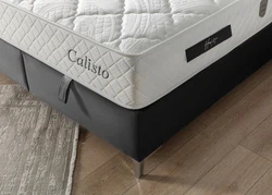 ruf-226.jpg ruf-226.jpg