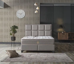 Excellance-10-hq.jpg Excellance-10-hq.jpg