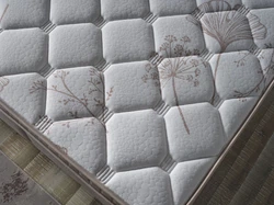 Excellance-7-hq.jpg Excellance-7-hq.jpg