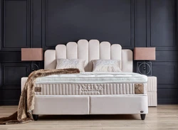 jazzlyn1.jpg jazzlyn1.jpg