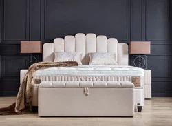 jazzlyn4.jpg jazzlyn4.jpg