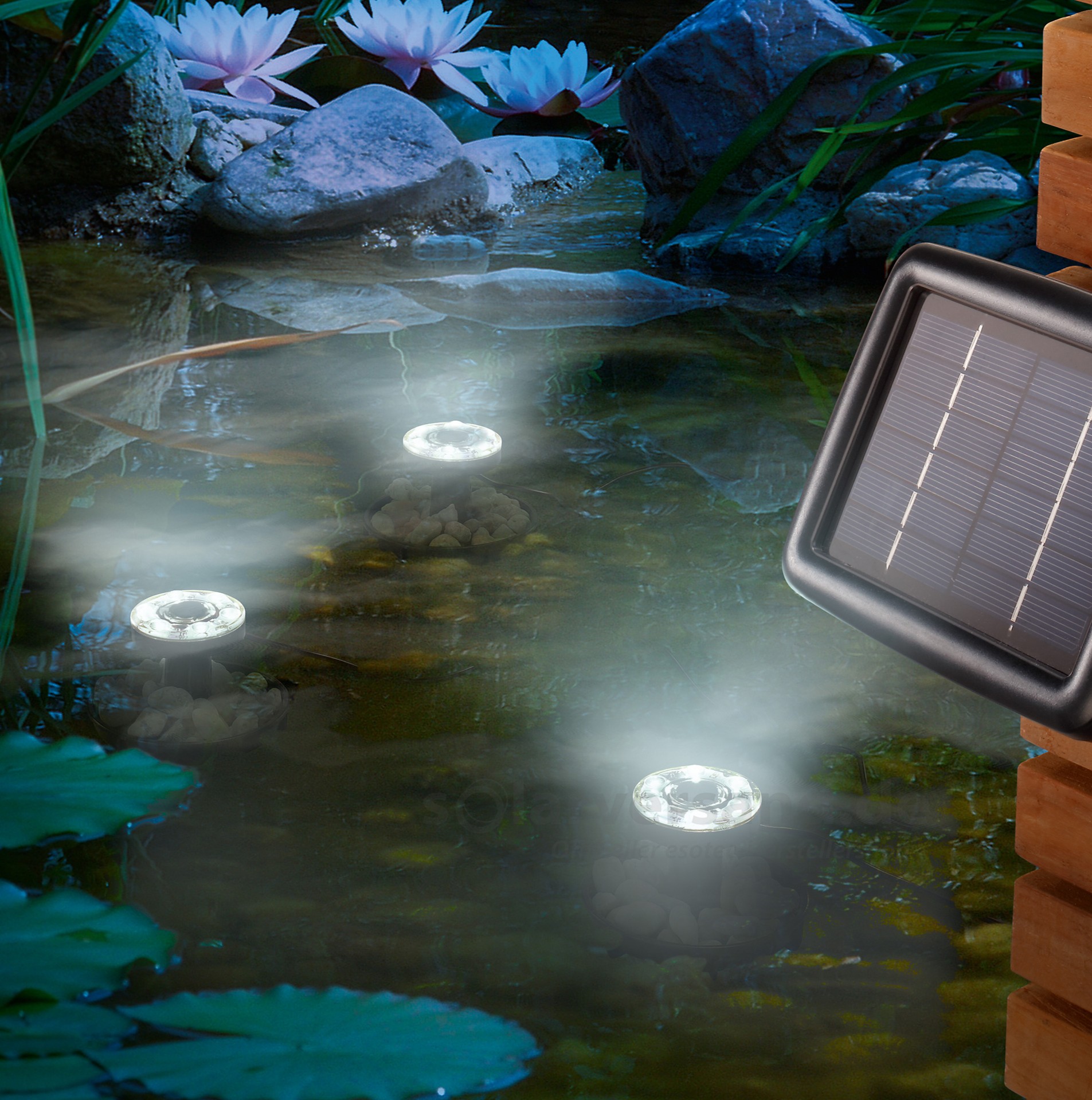 Solar Wasserleuchten